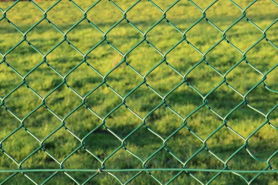 Зеленая сетка рабица на садовом заборе