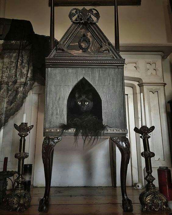 Домик для кошки в готическом стиле